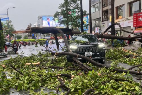 TP Hồ Chí Minh: Mưa lớn kèm gió giật, nhánh cây xanh gãy đè trúng ô tô 7 chỗ