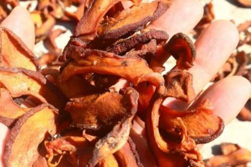 Thứ quả xưa ít người biết nay thành đặc sản dân phố lùng mua, 30.000 đồng/kg