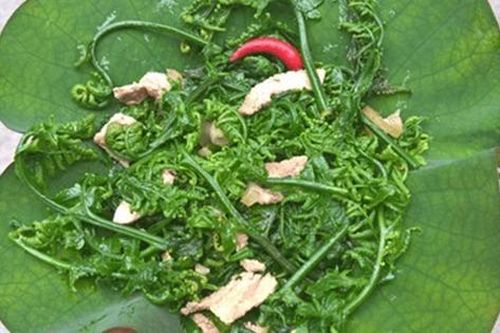 2 loại rau không lo 'ngậm' thuốc trừ sâu, số 1 vừa ngon vừa bổ nhưng ít ai hay
