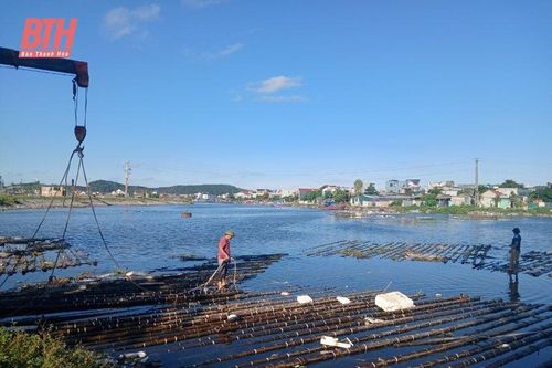 Tháo dỡ bè, mảng trái phép tại Khu neo đậu tránh trú bão cho tàu cá Lạch Bạng