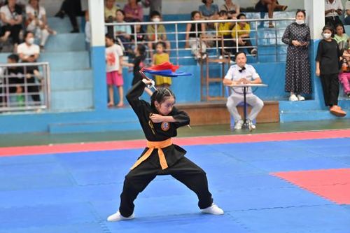 141 võ sinh tranh tài giải Võ cổ truyền các nhóm tuổi TP. Nha Trang