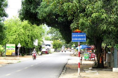 Biển báo giao thông bị cây xanh che khuất