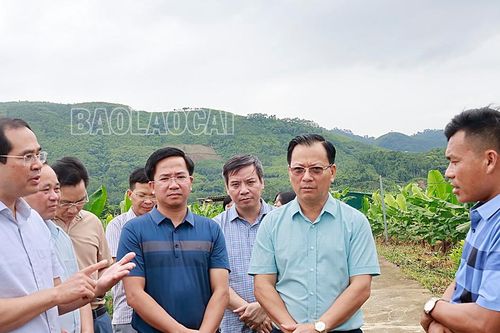 Chủ tịch UBND tỉnh Trịnh Xuân Trường kiểm tra, khảo sát một số dự án nông nghiệp tại huyện Bảo Thắng và Bảo Yên