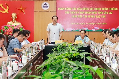 Quyết tâm khôi phục vùng trồng chuối, dâu tằm tại huyện Bảo Thắng và huyện Bảo Yên