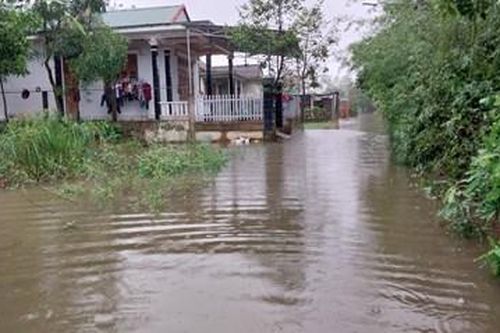 Kêu gọi tàu thuyền vào bờ, chuẩn bị phương án tiêu úng cho lúa
