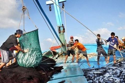 Thủy sản Mekong nối dài chuỗi kinh doanh thua lỗ sang quý thứ 4