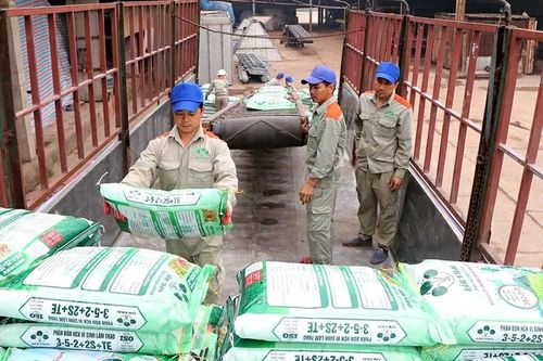 Thêm công ty phân bón báo lợi nhuận quý 2/2024 tăng mạnh
