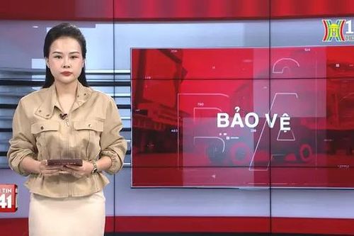 Bản tin 141 | 14/07/2024