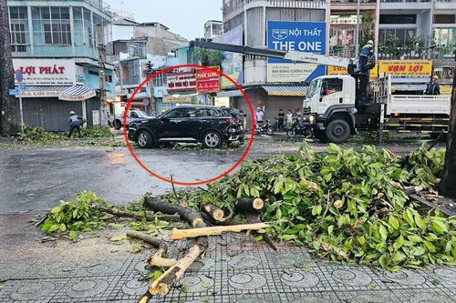 Mưa lớn ở TP.HCM làm cây đổ đè ô tô, 6 người may mắn thoát chết