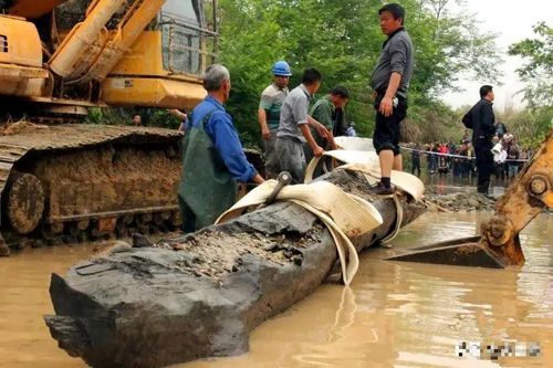 Bí ẩn về khúc gỗ kỳ lạ cứng như đá, tỏa mùi thơm khiến cảnh sát phải phong tỏa hiện trường