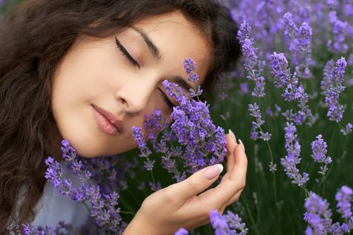 Cẩn trọng khi mua tinh dầu hoa oải hương hỗ trợ ngủ ngon