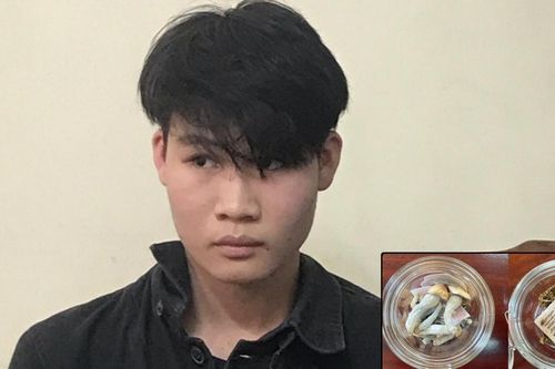 Quảng Ninh: phát hiện loại ma túy mới lần đầu xuất hiện trên địa bàn