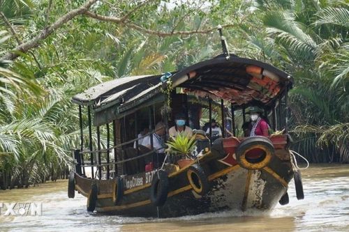 Du lịch Bến Tre: Nhiều tín hiệu tích cực trong nửa đầu năm 2024