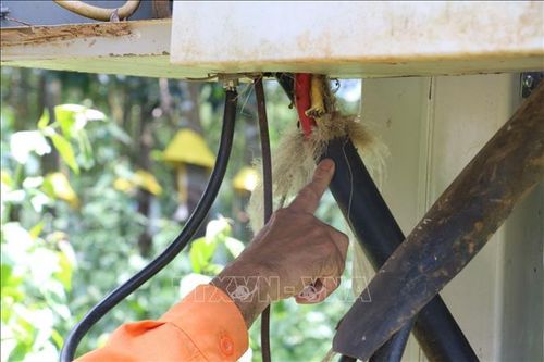 Báo động tình trạng kẻ gian cắt trộm dây tiếp địa