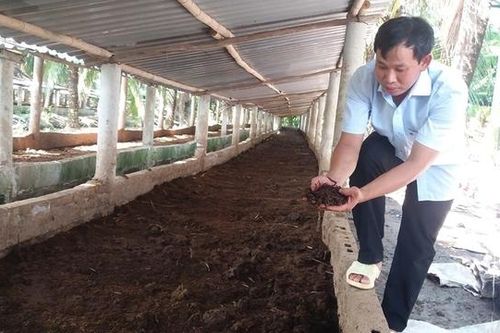Nuôi con vật tận dụng cả thịt lẫn chất thải, anh nông dân thu 3 tỷ/tháng