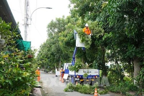 Đồng Tháp đảm bảo an toàn điện trong mùa mưa bão