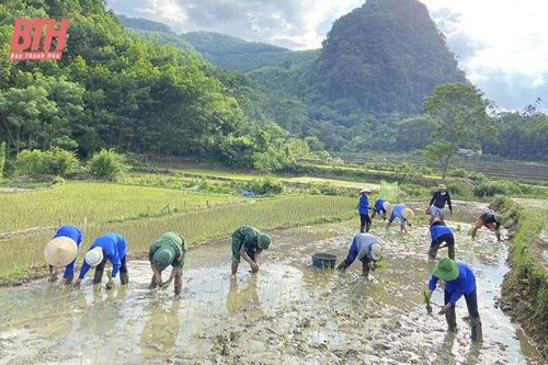 Giảm thiểu thiệt hại trong sản xuất nông nghiệp do thiên tai gây ra