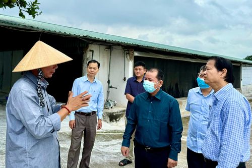 Huyện Thống Nhất tích cực xử lý vi phạm về môi trường trong chăn nuôi