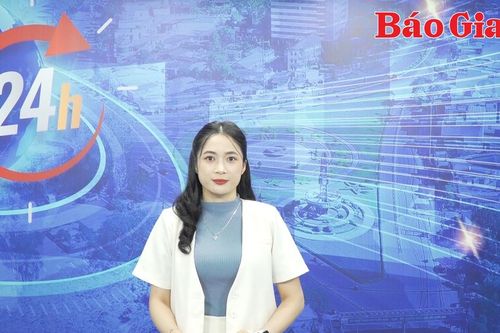 Gia Lai 24h: Lấy ý kiến mẫu phác thảo tượng đài Tây Sơn Tam kiệt và Phù điêu