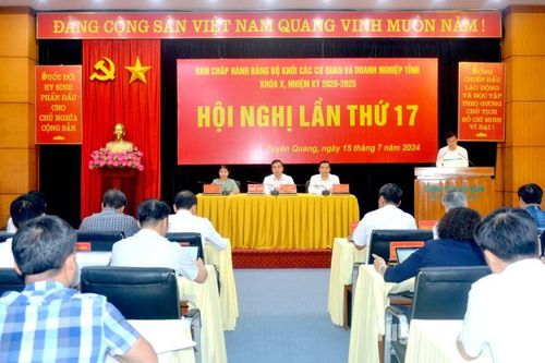 Đảng bộ Khối các cơ quan và doanh nghiệp tỉnh phấn đấu đạt mục tiêu năm 2024