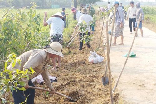 Chuyển biến môi trường nông thôn mới