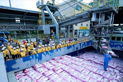 Phân bón Cà Mau hoàn thành 77% kế hoạch xuất khẩu năm 2024