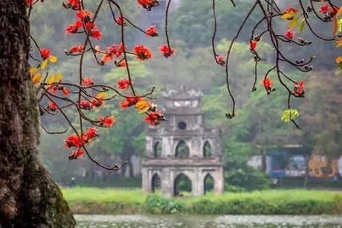 25 năm Hà Nội 'Thành phố vì hòa bình'