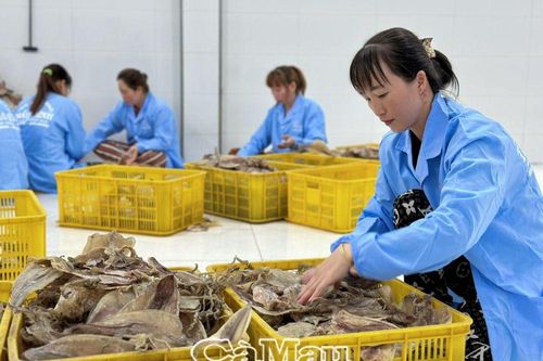 Nhiều nhiệm vụ, chỉ tiêu đạt và vượt kế hoạch
