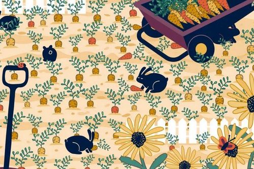 Câu đố siêu khó: Tìm ra chiếc nhẫn chỉ trong 6 giây