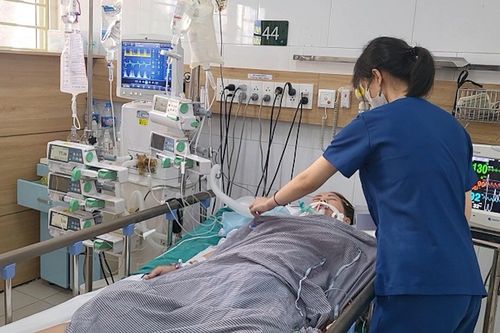 Tử vong vì uống nhầm thuốc sắc từ rễ cây lá ngón