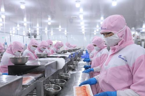 Thách thức từ các FTA