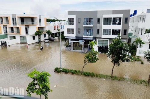 Kiên Giang tìm giải pháp chống ngập cho thành phố Rạch Giá