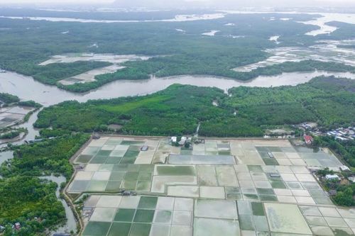 Chuyển mình ở đảo muối Thiềng Liềng