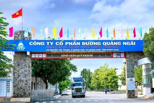 Dự án điện sinh khối 'tai tiếng' của Đường Quảng Ngãi