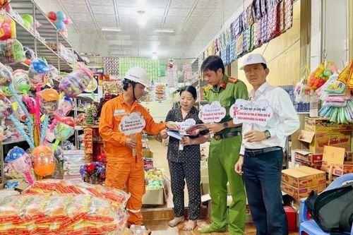Điện lực miền Nam: 'Đi từng ngõ - gõ từng nhà' tuyên truyền sử dụng điện an toàn
