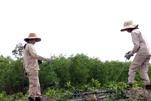 Quảng Bình: Để nỗi lo bom mìn chiến tranh sót lại không còn ám ảnh người dân