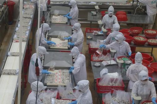 UOB: 90% doanh nghiệp Việt Nam quan tâm mở rộng thị trường ra nước ngoài