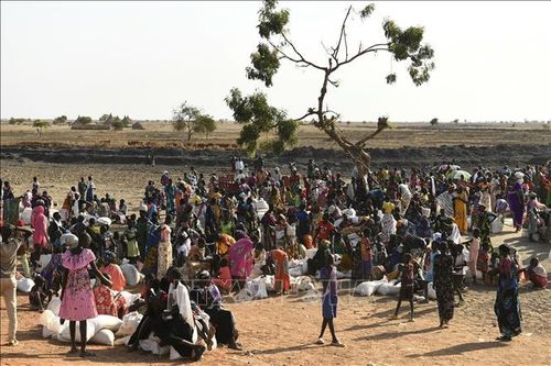 LHQ cảnh báo xung đột ở Sudan gây ra khủng hoảng nhân đạo ở Nam Sudan