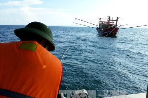Hỗ trợ, ứng cứu tàu cá bị nạn giữa biển khơi