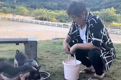 Nam diễn viên nổi tiếng bỏ phố về quê, nuôi lợn và làm nông
