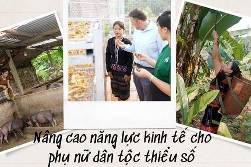 Chương trình 'Tiến về phía trước' hỗ trợ phụ nữ thiểu số 3 tỉnh Quảng Trị, Hòa Bình, Hà Giang phát triển kinh tế