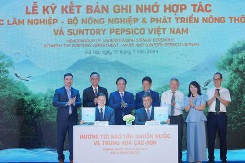 Hợp tác phát triển rừng bền vững, hướng đến bảo tồn nguồn nước và trung hòa các-bon