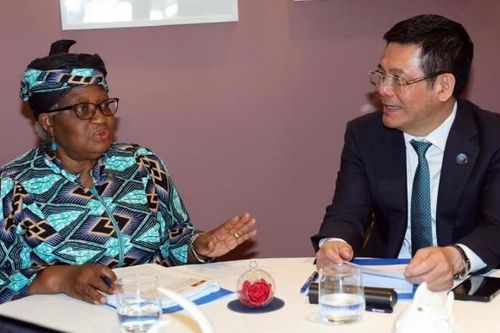 Bộ trưởng Nguyễn Hồng Diên tiếp Tổng giám đốc WTO Ngozi Okonjo Iweala