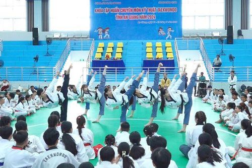 An Giang phát triển phong trào luyện tập võ Taekwondo
