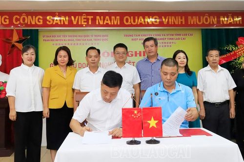 Hơn 40 doanh nghiệp Việt Nam - Trung Quốc gặp gỡ, kết nối giao thương