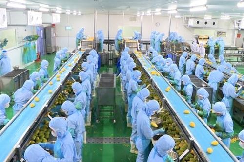 B'Laofood: Liên kết chặt chẽ với vùng đất cao nguyên