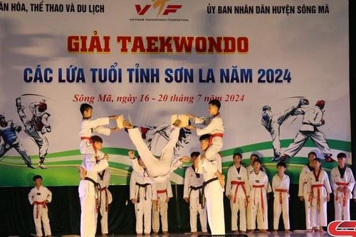Giải Taekwondo các lứa tuổi tỉnh Sơn La