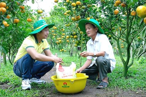 Đạm Cà Mau (DCM): Hoàn thành 77% kế hoạch xuất khẩu ure cả năm, kỳ vọng lãi năm nay tăng mạnh