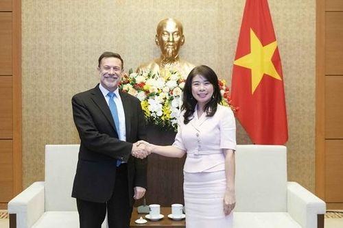 Phó Chủ nhiệm Ủy ban Đối ngoại Lê Thu Hà tiếp Đại sứ Australia