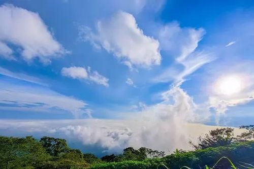 Du khách đổ về 'biển mây' tại Hà Nội